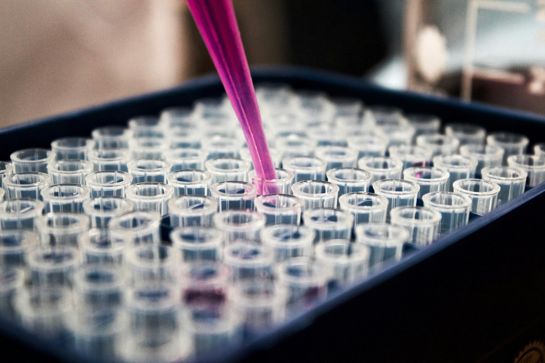 Laboratory with many test tubes, you can see a pipette taking a sample from one test tube